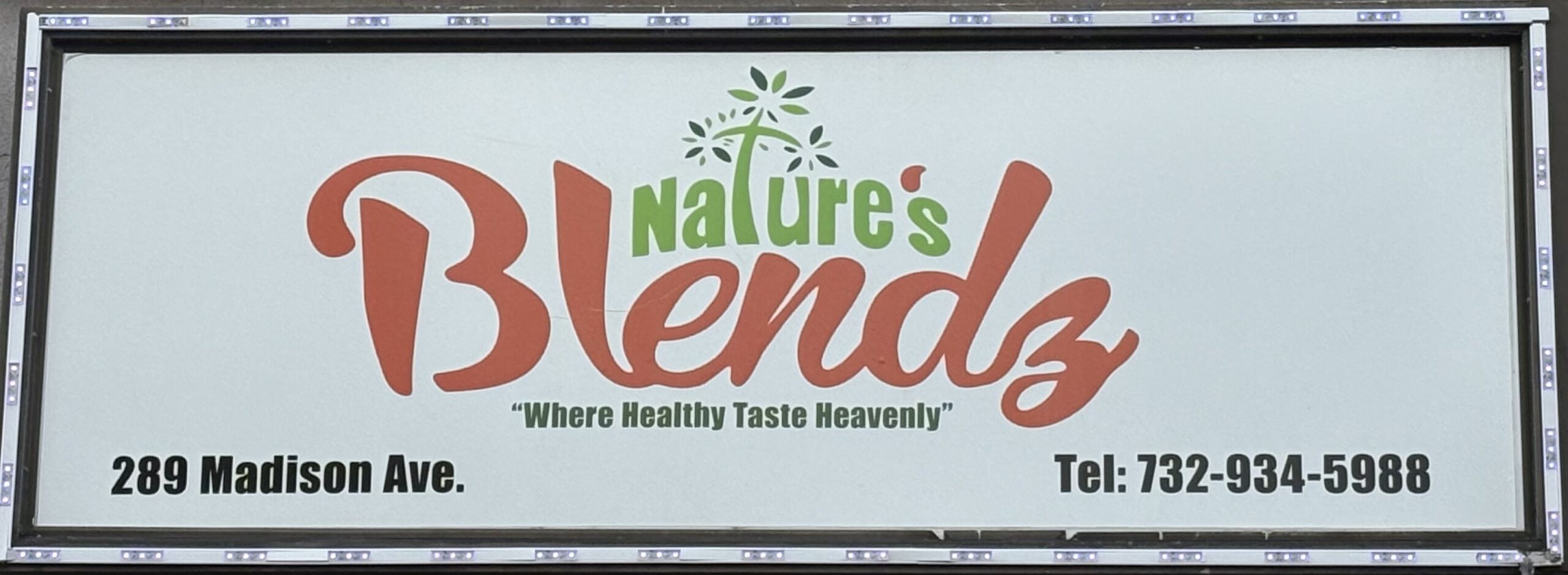 natures blendz